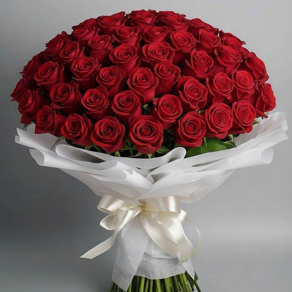 Букет 101 Красная роза Блэк Мэджик в Баклашах