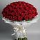 Букет 101 Красная роза Блэк Мэджик в Баклашах