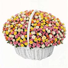 Премиум букет из: Розы в Баклашах