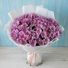 Букет цветов из:  Хризантемы в Баклашах