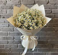 Букет цветов из:  Ромашки в Баклашах