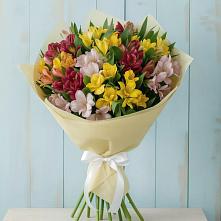 Букет цветов из:  Альстромерии #REPLACE_PRED# Баклашах