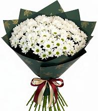 Букет цветов из:  Хризантемы #REPLACE_PRED# Баклашах