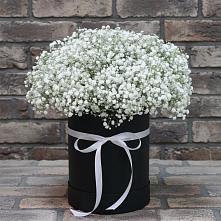 Цветочная композиция из Гипсофила в шляпной коробке в Баклашах
