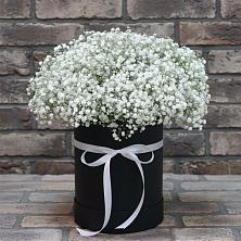 Цветочная композиция из Гипсофила в шляпной коробке в Баклашах