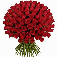 Букет Красные розы Чери Лав в Баклашах