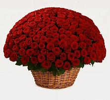 Премиум букет из: Розы в Баклашах