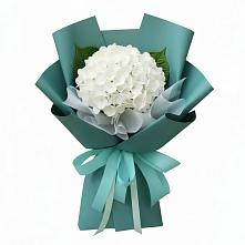 Букет цветов из:  Гортензия в Баклашах